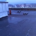 Подходит к завершению  капитальный ремонт кровли по ул. Островкского, д. 38