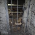 Установка металлических решеток и дверей в тепловом узле по адресу ул. Ивана Сусанина, д. 16