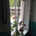 Замена окон в МОП по адресу, Октябрьской  революции, д. 63