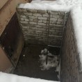 Установка лесенок у входов в подвал в доме № 1 по ул. 1917 года