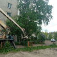 Спил дерева по улице Октябрьской революции, д. 80